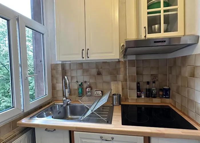 4 Etoiles Magnifique Neustadt - Spacieux, & Elegant Avec Balcon Et Belle Vue Apartman *