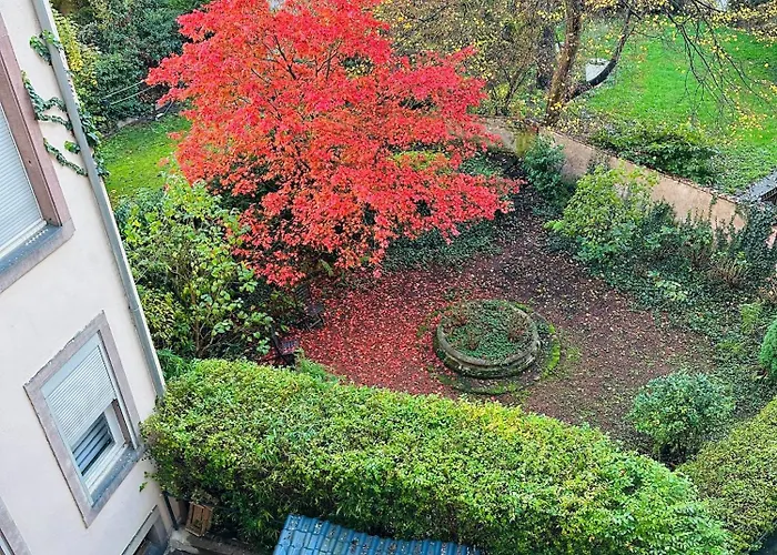 4 Etoiles Magnifique Neustadt - Spacieux, & Elegant Avec Balcon Et Belle Vue Apartman Strasbourg